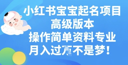 小红书宝宝起名项目高级版本，操作简单，资料专业，月入过W-洪烁网创