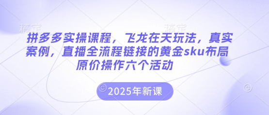 拼多多实操课程,飞龙在天玩法,真实案例,直播全流程链接的黄金sku布局原价操作六个活动-洪烁网创