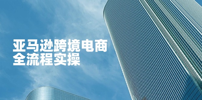 (14252期)亚马逊跨境电商全流程实操,教你从零开始,掌握店铺运营与广告技巧-洪烁网创