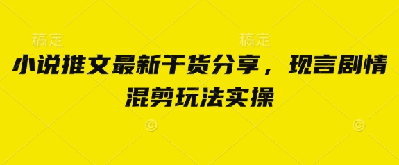 小说推文最新干货分享,现言剧情混剪玩法实操-洪烁网创