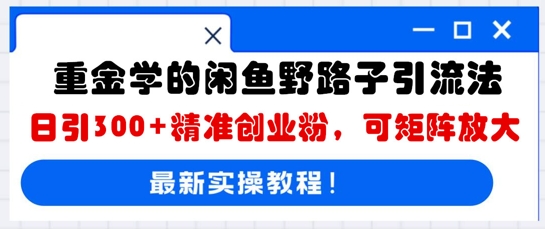 重金学的闲鱼野路子引流法，日引300+精准创业粉，可矩阵放大-洪烁网创