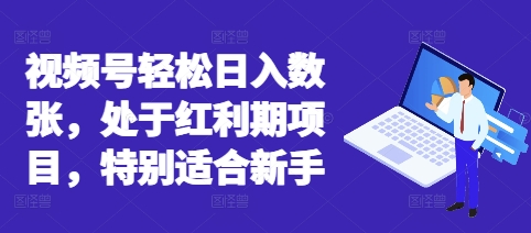 视频号轻松日入数张,处于红利期项目,特别适合新手-洪烁网创