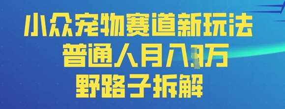 小众宠物赛道新玩法,普通人月入过1W的野路子拆解-洪烁网创