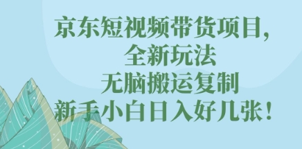 京东短视频带货项目,全新玩法,无脑搬运复制,新手小白日入好几张!-洪烁网创