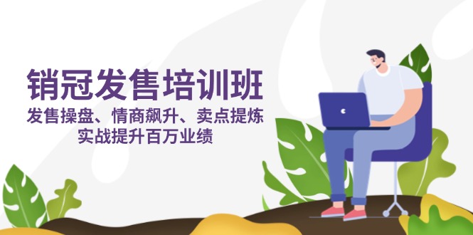 (14203期)销冠 发售培训班:发售 操盘+情商 飙升+卖点 提炼,实战提升百万业绩-洪烁网创