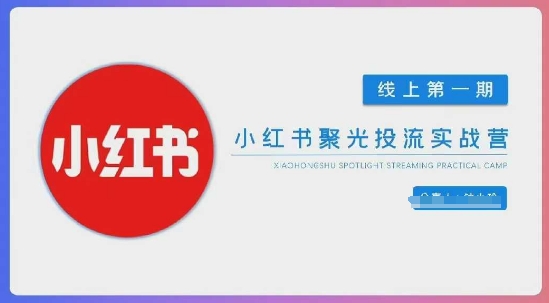 小红书聚光陪跑第一期,教你从0到1玩转小红书聚光投流,搭建小红书付费投流团队,更快的见到效果-洪烁网创