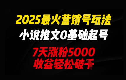 2025最火营销号玩法：小说推文0基础起号，7天涨粉5000，收益轻松破k-洪烁网创