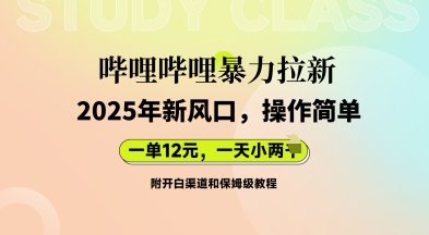 哔哩哔哩暴力拉新:2025年新风口,一单12元,一天数张(附开白渠道和保姆级教程)-洪烁网创